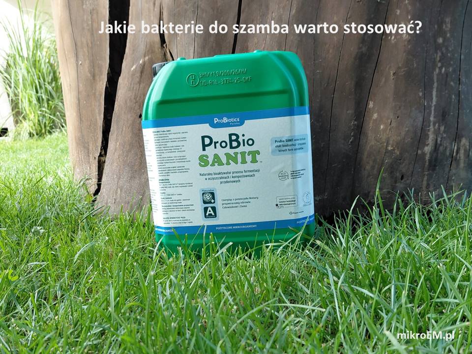Jakie bakterie do szamba warto stosować?