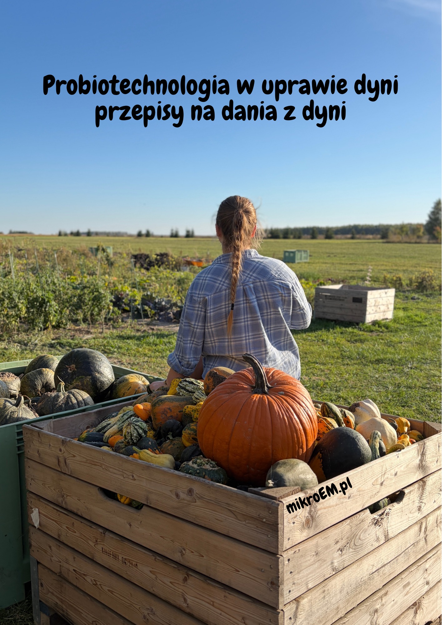 Probiotechnologia w uprawie dyń